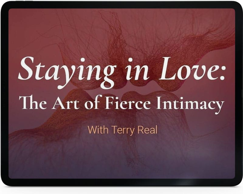 Terry Real, MSW, LCSW: Us - Getting Past You and Me to Build a More Loving  Relationship 